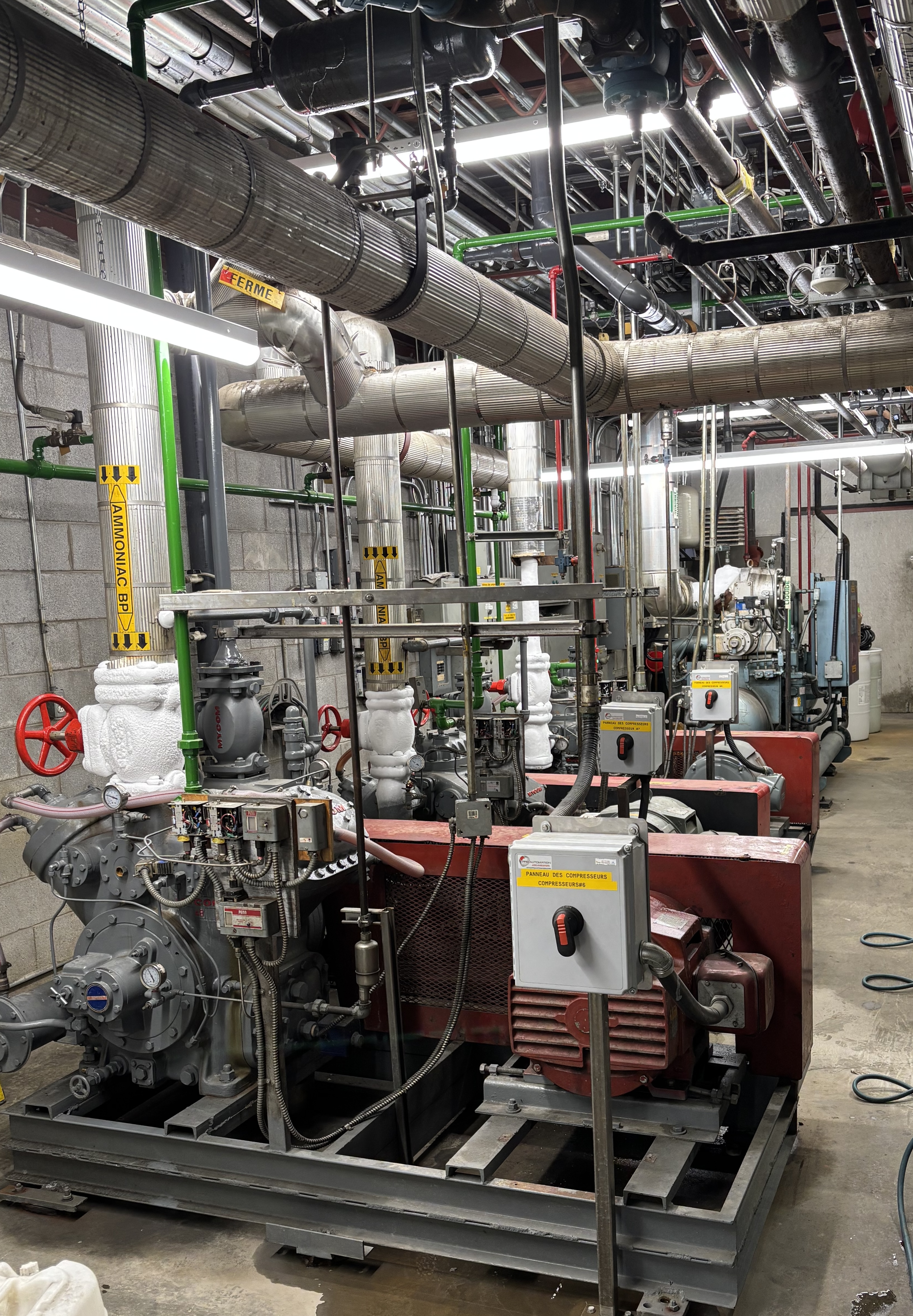 Industrial compressor room in a food and beverage facility